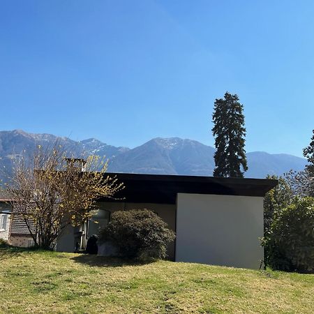 Muralto-Locarno: Miramonti Apt. 4 Esterno foto